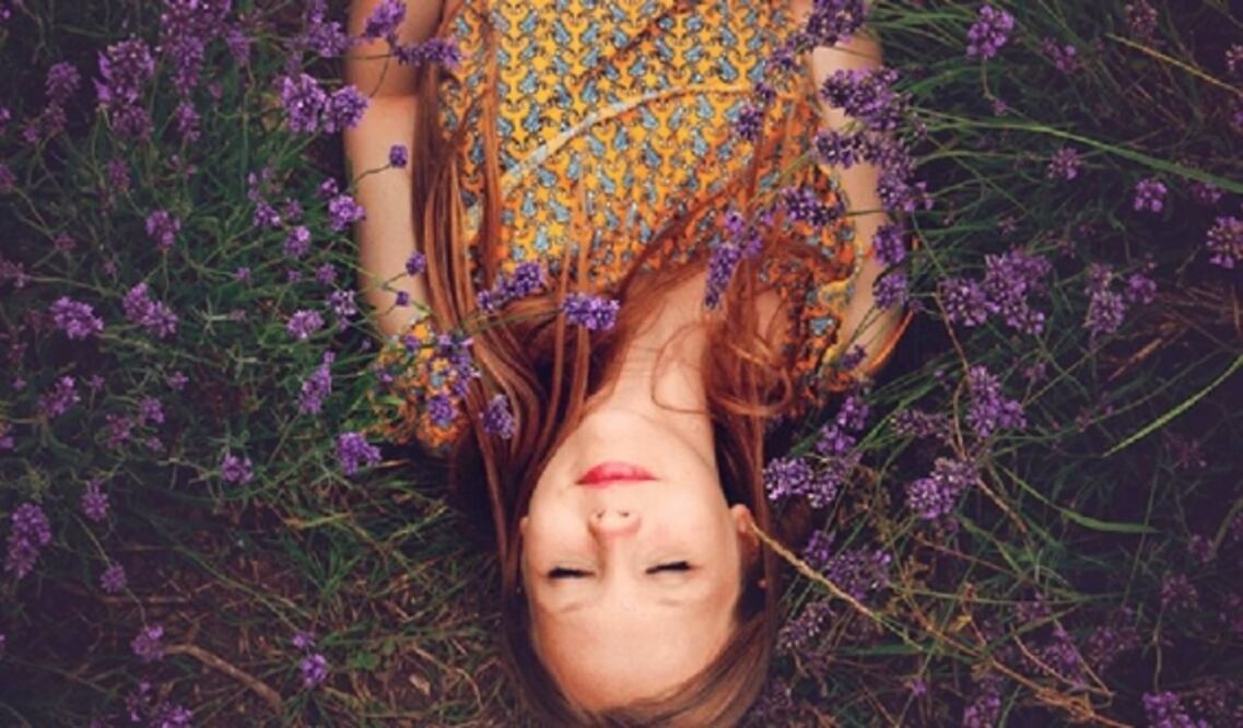 Guarda el aceite de lavanda en un lugar fresco y oscuro para conservar sus propiedades por más tiempo. Foto: Pixabay