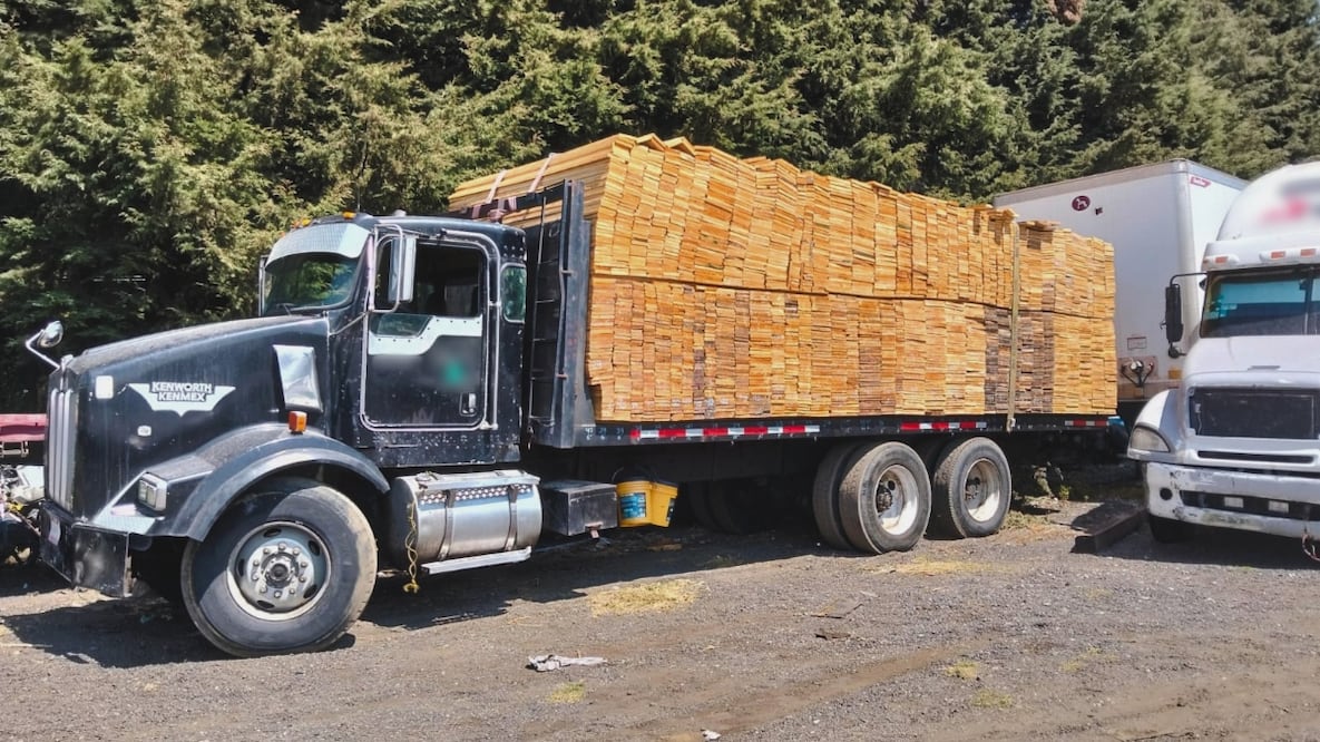 El producto forestal y el vehículo fueron asegurados por la Guardia Nacional. Foto: GN