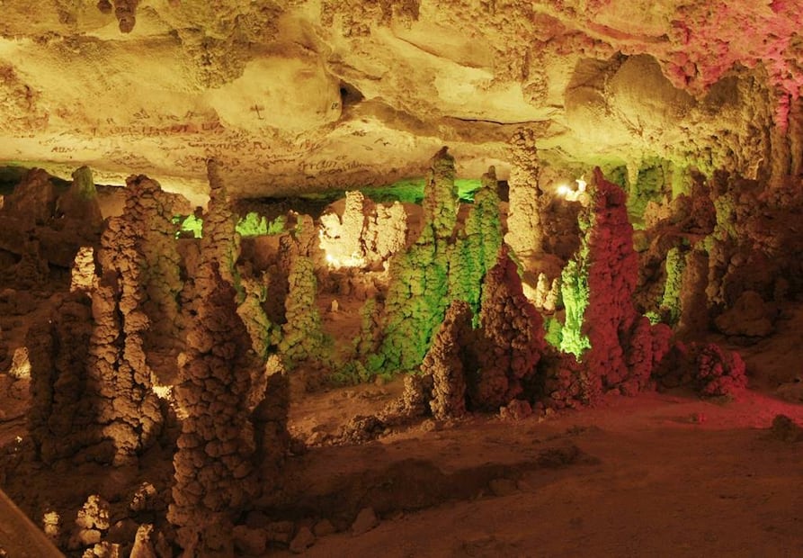 Foto: Fidetur ¡Ah Chihuahua!