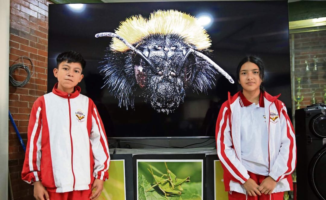 Vioreny Revilla y Brayan Gordillo son los estudiantes que viajarán a Indonesia para la presentación del proyecto titulado Ca Bizu So’P e’: A la defensa de los más pequeños. Foto: Edwin Hernández