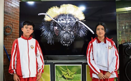 Gracias a insectos, estudiantes viajarán a Indonesia