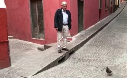 López Obrador persigue a paloma y las redes se burlan