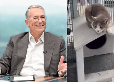 Ricardo Salinas presenta al michi que cuida de TV Azteca