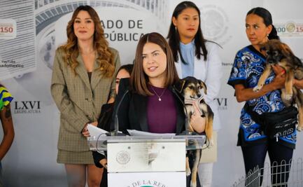 Entre ladridos, Senado presenta iniciativa de Bienestar Animal; busca frenar abuso contra mascotas