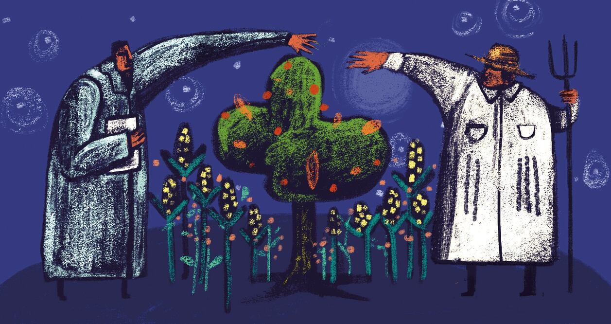  Ilustración: rosario lucas