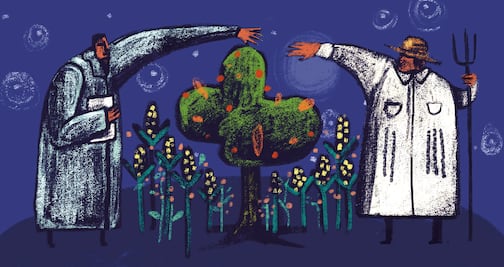 “Sembrando Vida”, sin técnicos capacitados