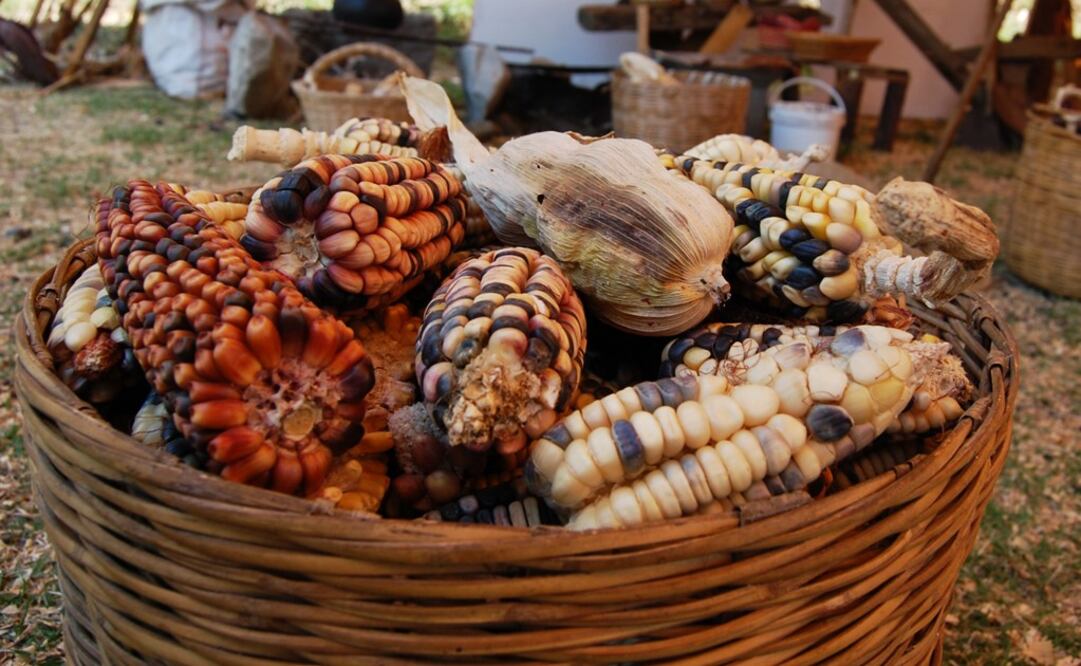 Mexican food has become increasingly popular in the last years - Photo: File Photo/EL UNIVERSAL