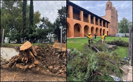 Tornado en San Cristóbal de las Casas deja 77 viviendas dañadas; autoridades suspenden clases en cuatro escuelas