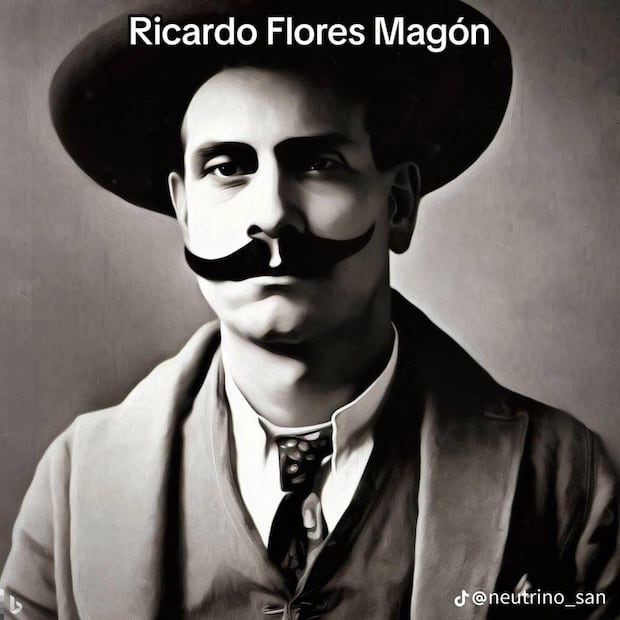 Foto: TikTok @neutrino_san