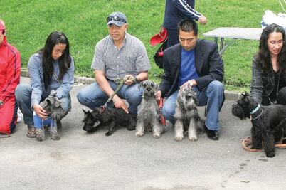 Seguros para mascotas registran un 'boom'