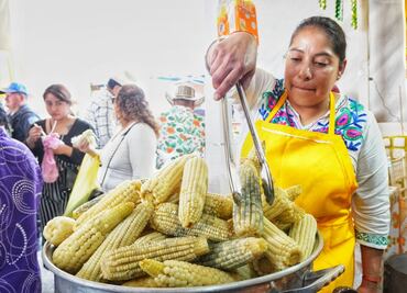 ¡Con chile del que pica! Cuándo es la Feria del Elote y Esquites en CDMX