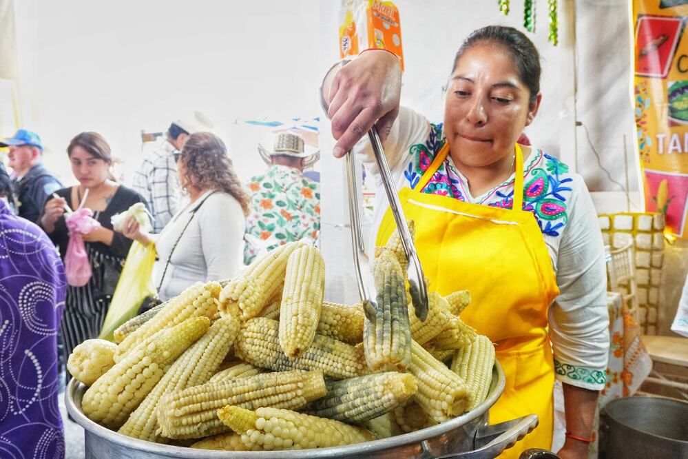 La Feria del Elote y Esquites 2025 celebra la riqueza cultural y gastronómica del maíz. Foto: Facebook "Tláhuac, Renace para tu Bienestar"