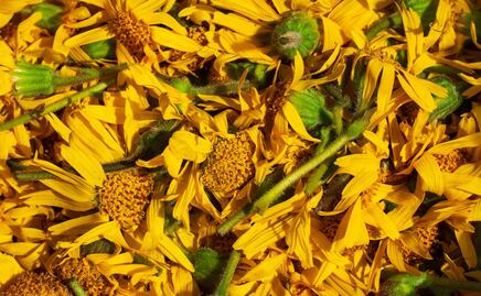 Esta es la infusión que ayuda a desinflamar