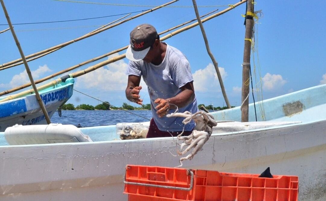 Foto: Archivo EL UNIVERSAL