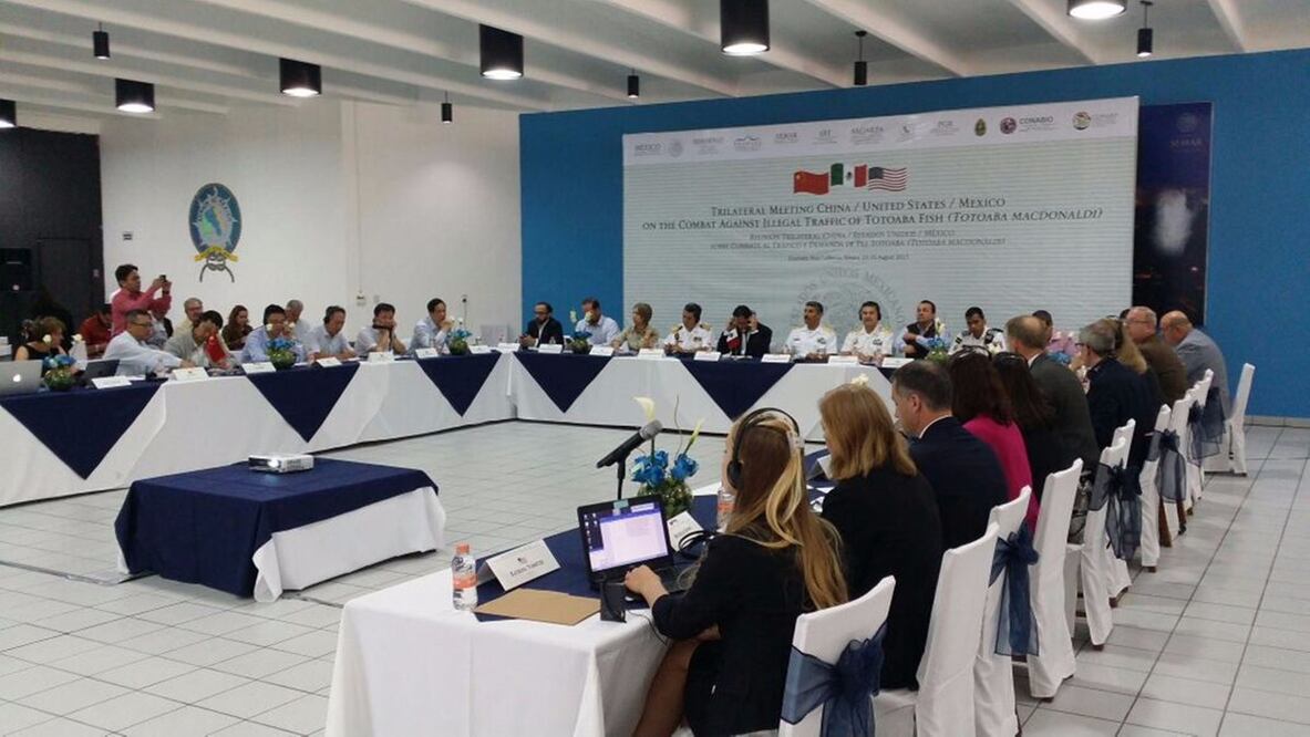 Foto: tomada de @PROFEPA_Mx