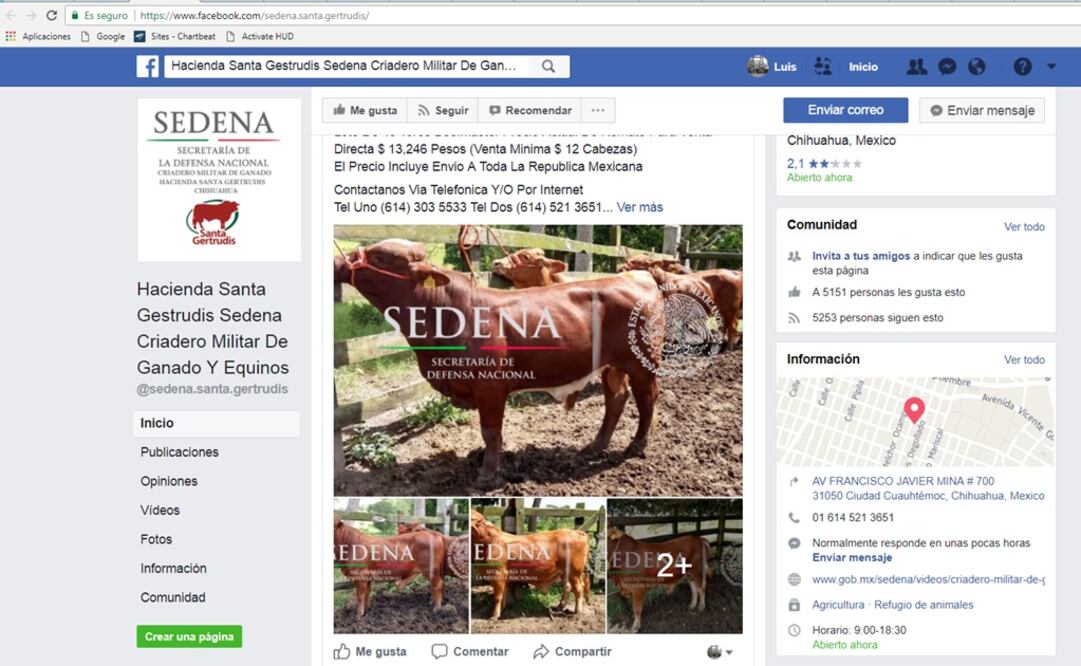 Aspecto de la pagina falsa de Facebook donde se oferta ganado. (TOMADA DE INTERNET)