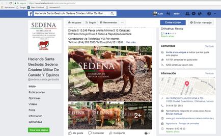 Advierte Sedena sobre portal falso para cometer fraudes