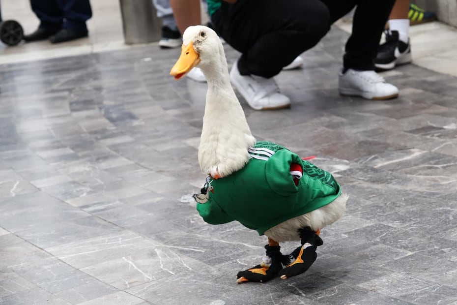 Merlín se ganó el corazón de la afición mexicana en este Mundial 2026. Foto: Karla Guerrero EL UNIVERSAL