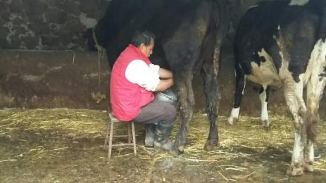 El lechero entraba, literal... hasta la cocina