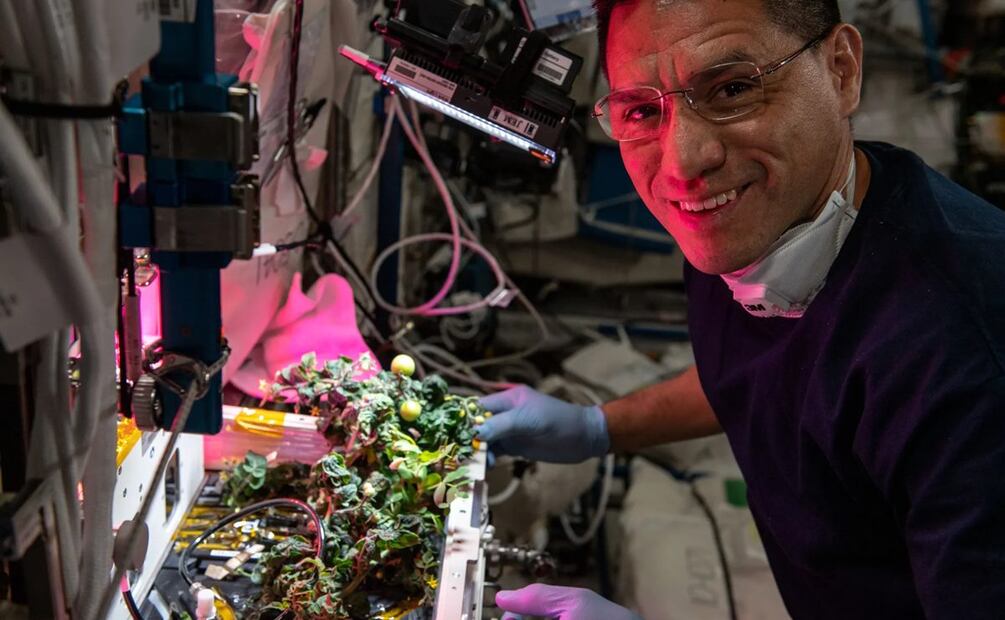 El astronauta de la NASA Frank Rubio es fotografiado realizando el manejo de fluidos y las inspecciones de cartuchos de semillas y plantas para el experimento XROOTS. / Foto: NASA