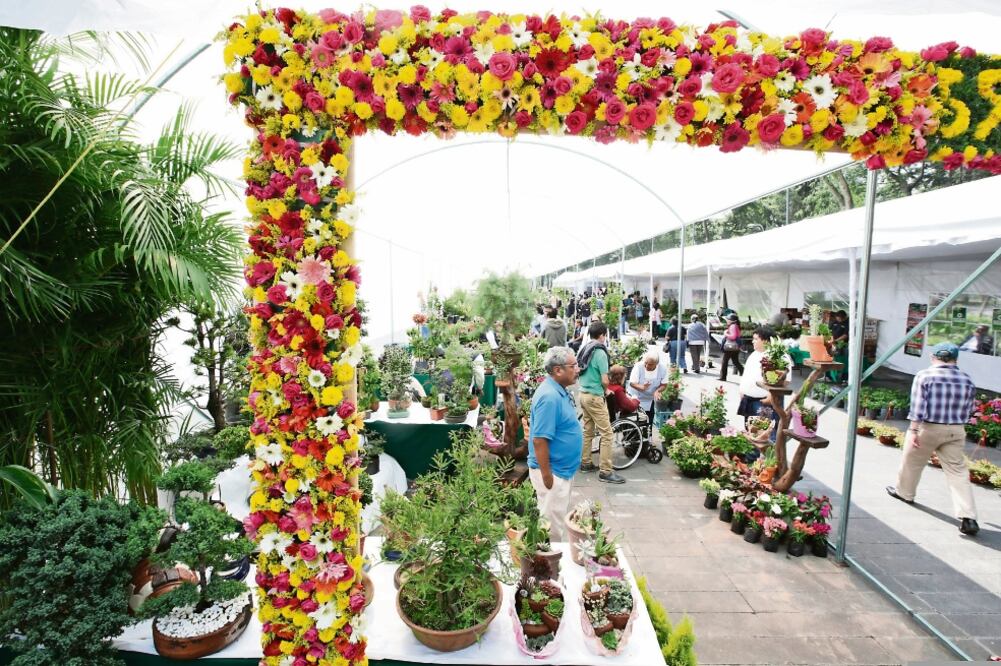 Dalias, rosas, plantas medicinales, cactáceas y hasta orquídeas, entre muchas otras especies, dan vida una vez más a la zona con la feria más antigua de la capital y que los habitantes de San Ángel han preservado (LUIS CORTÉS. EL UNIVERSAL)