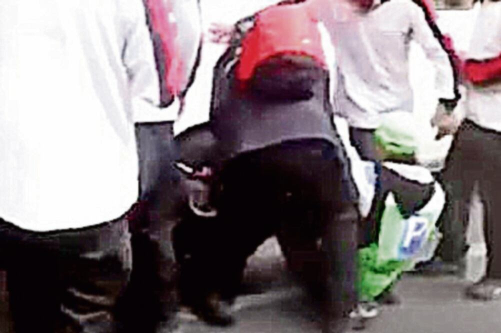 Los servidores públicos impidieron que empleados de ecoParq les colocaran el inmovilizador, por lo que fueron suspendidos por la dependencian (FOTO TOMADA DE VIDEO)