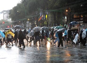 Caída de 2 árboles, 2 inundaciones y 4 encharcamientos, saldo por lluvia este martes en CDMX