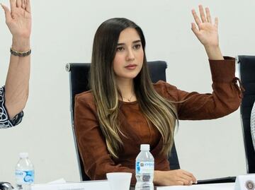 Diputada de Tamaulipas denunciará a dirigente estatal del PVEM por violencia política de género