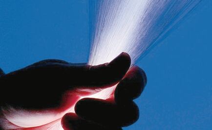 Interesadas en Red Troncal, 14 empresas