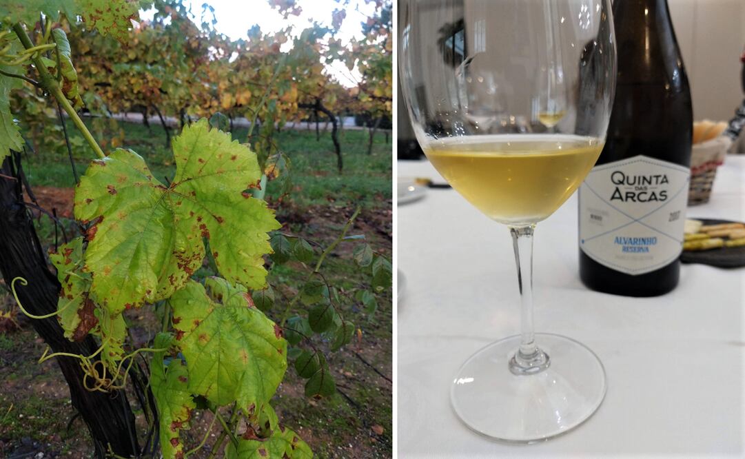 Foto: Raquel del Castillo 