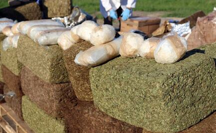 Aseguran 450 kilos de marihuana en Chiapas; droga estaba oculta en tráiler