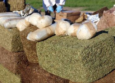 Aseguran 450 kilos de marihuana en Chiapas; droga estaba oculta en tráiler