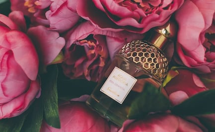 Descubre por qué los perfumes nos traen recuerdos
