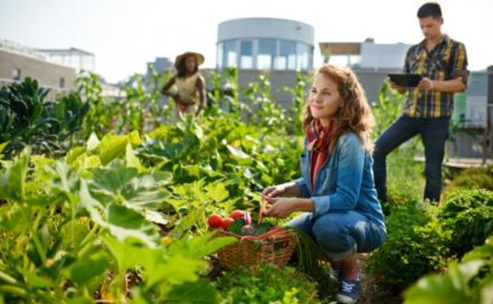 Viaja por el mundo ayudando a otros y consigue hospedaje gratis