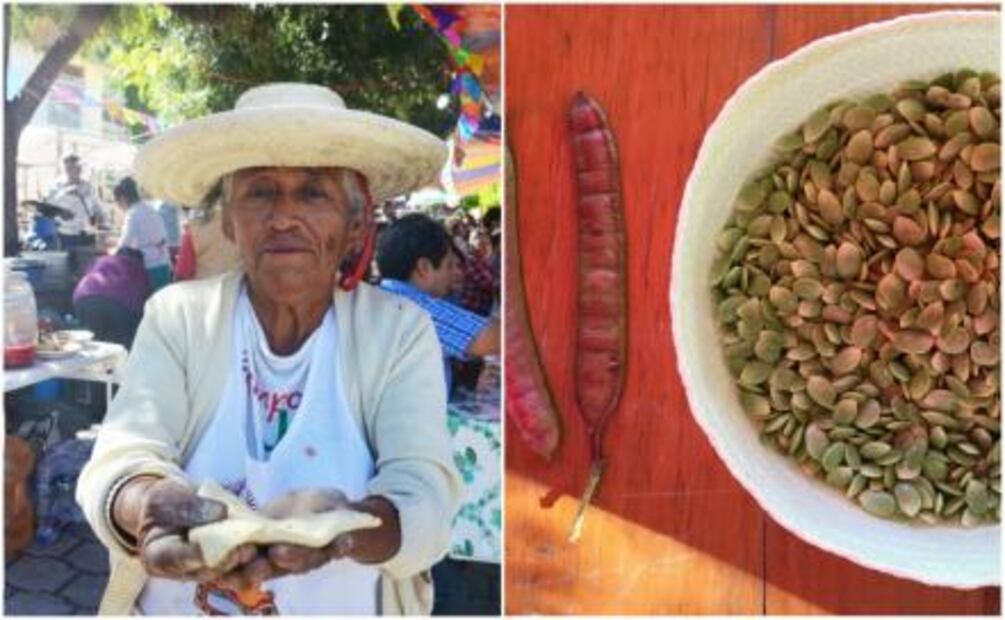 Oaxaca le rinde honores al guaximole