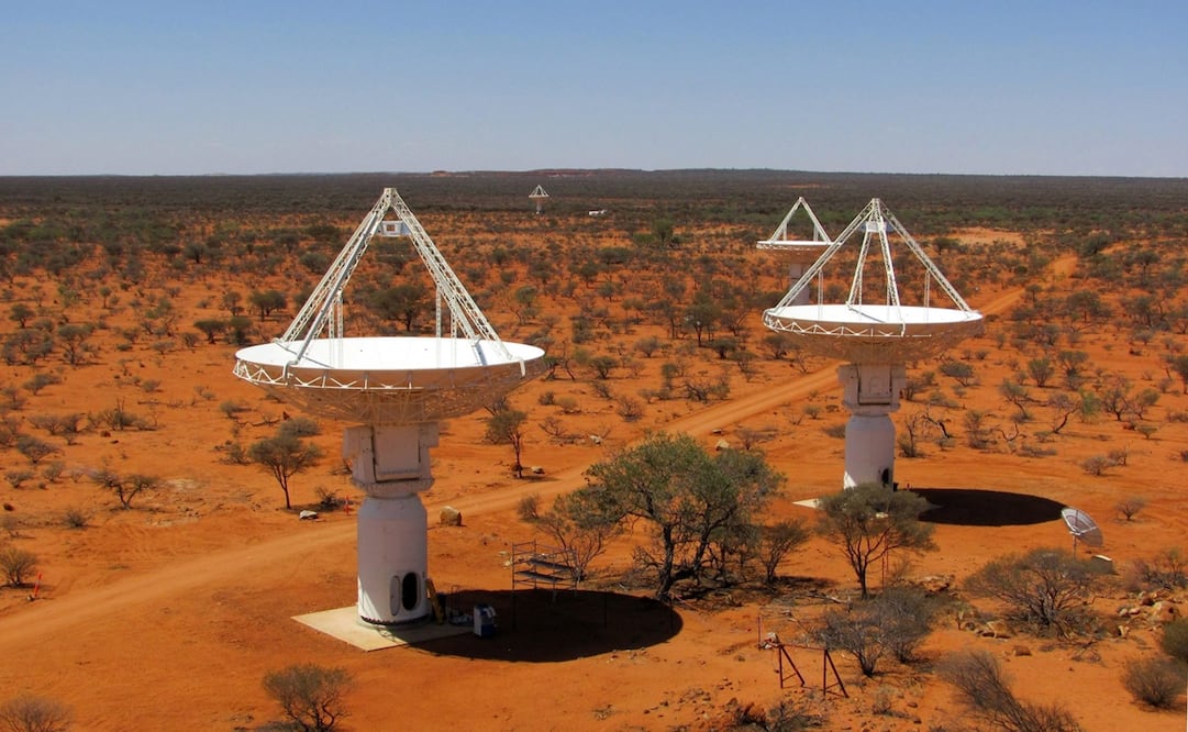 Foto: EFE/Ant Schinkel/Csiro, archivo