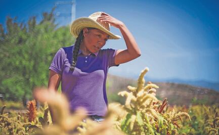 No tienen IMSS 90% de trabajadoras agrícolas