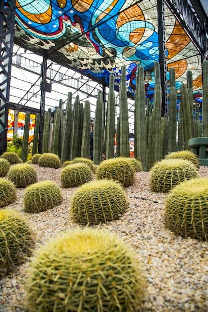 Cosmovitral: una joya de cristal en el Estado de México