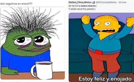 ¡Por fin se acabó! Se va el mes de enero y con éste también algunos memes