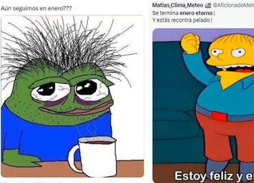 ¡Por fin se acabó! Se va el mes de enero y con éste también algunos memes
