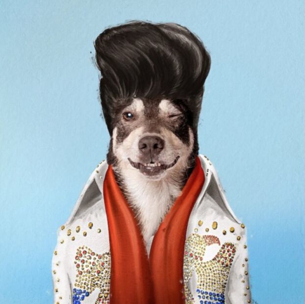 Disfrazan a mascotas de personajes de la cultura pop y se vuelve viral