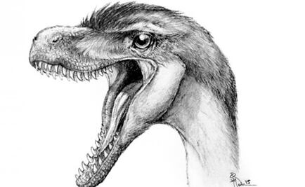 Hallan seis especies de dinosaurio gracias a dientes