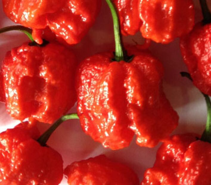 El chile más picoso