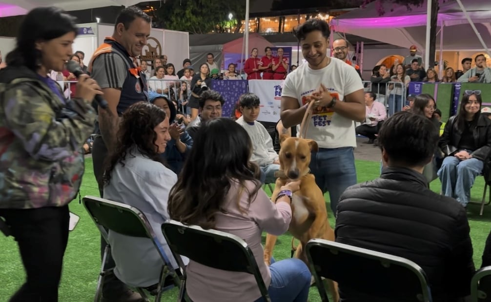 Adoptan a 11 perritos del Centro de Transferencia Canina del Metro. Foto: especial