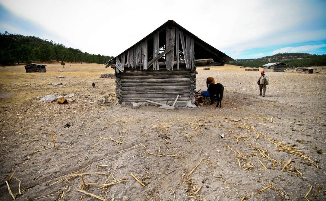 670 millones de personas padecerán hambre en 2030