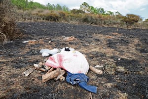 Ahijado de El Mencho también murió tras operación  en Tapalpa