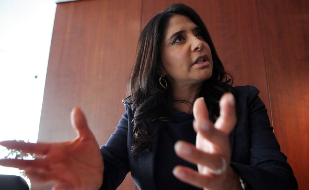 La presidenta del PRD acusó al PRI de ser el partido que ha desunido a los mexicanos. /Archivo - EL UNIVERSAL