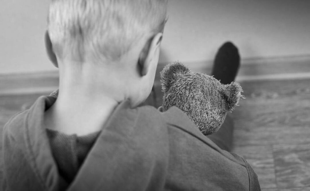 Las autoridades evalúan si deben entregar al niño, de un año y nueve meses, a su mamá. Foto: Especial