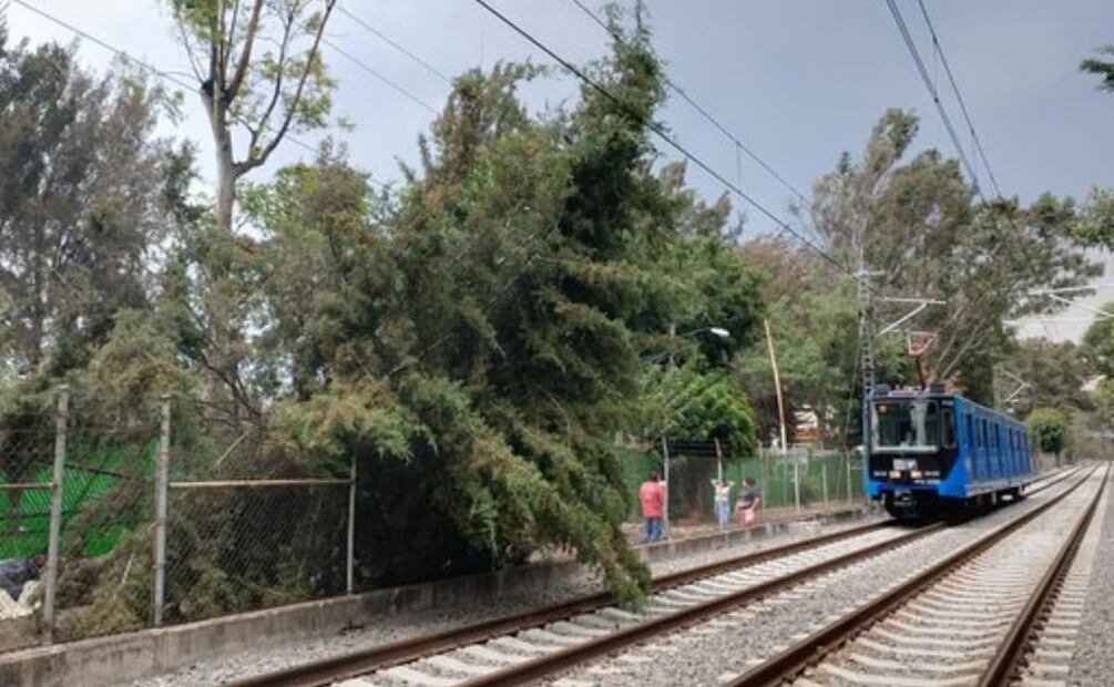 El servicio fue restablecido por completo a las 16:00 horas. Foto: Especial