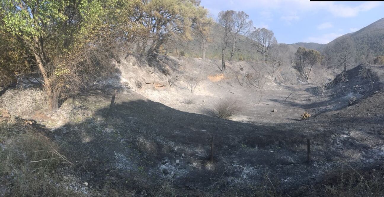 Para combatir el fuego por tierra se han movilizado dos carros motobomba y una pipa (Foto: Cortesía)